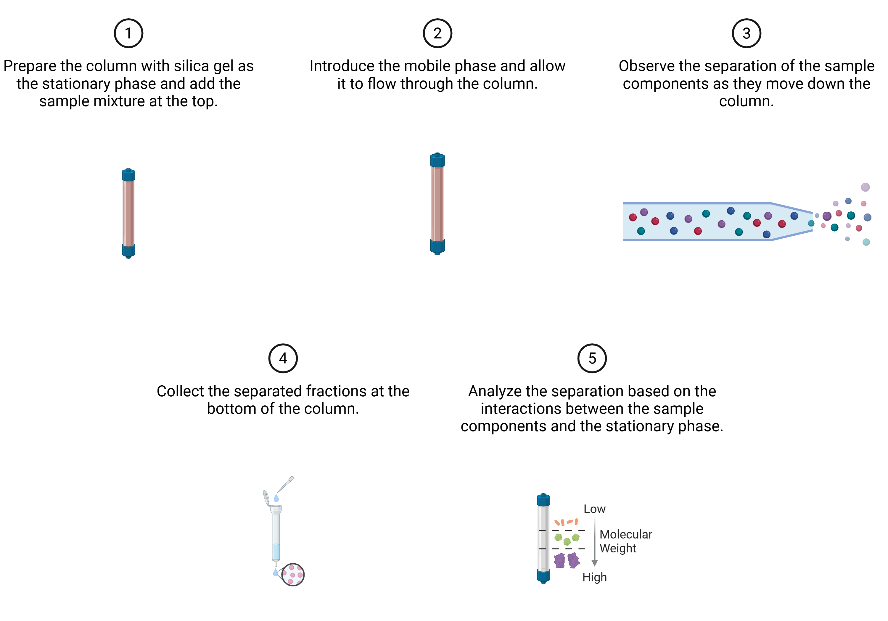 Column chromatography diagram showing separation of compounds in silica gel column using solvent elution